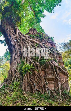 Die Tempel von Sambor Preis Kuk, 17 Meilen von Kompong Thom entfernt, waren Teil der vorangkorischen Hauptstadt Isanapura Stockfoto