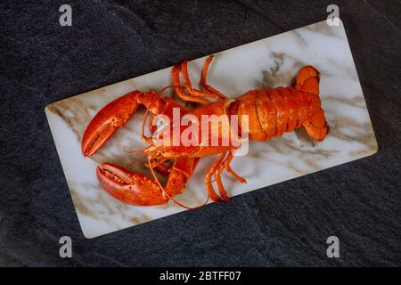 Gekochter Hummer auf einer feinen Auswahl an Krustentieren zum Abendessen auf einem dunklen Teller Stockfoto