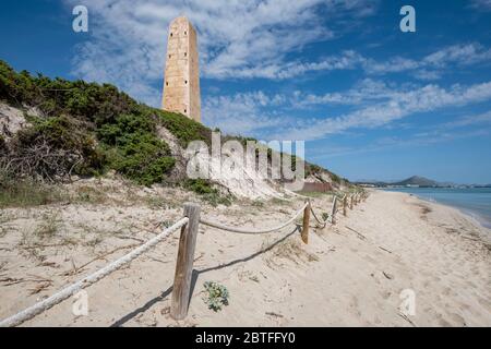 Führende Punkte, Es Comú, Àrea Natural d'Especial Interès, innerhalb des Naturparks von s'Albufera, Muro, bahía de Alcúdia, Mallorca, Balearen, Spanien. Stockfoto