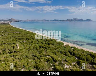 Führende Punkte, Es Comú, Àrea Natural d'Especial Interès, innerhalb des Naturparks von s'Albufera, Muro, bahía de Alcúdia, Mallorca, Balearen, Spanien. Stockfoto