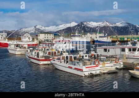 Boote im Hafen Höfn; Fischerdorf an der Südküste Islands [Keine Eigentumsfreigaben; nur für redaktionelle Lizenzierung verfügbar] Stockfoto