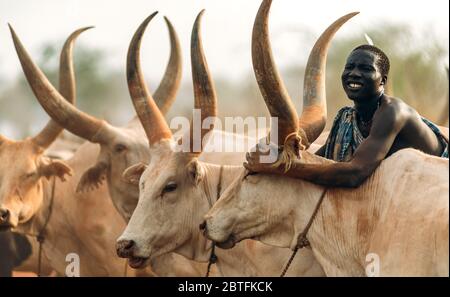 MUNDARI STAMM, SÜDSUDAN - 11. MÄRZ 2020: Mann aus Mundari Stamm wirft Handvoll Asche auf den Rücken von Ankole Watusi Kuh während Herden Vieh in Stockfoto