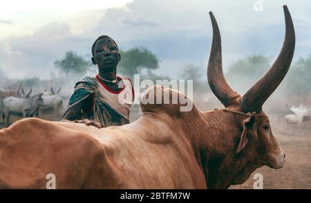 MUNDARI STAMM, SÜDSUDAN - 11. MÄRZ 2020: Teenager Junge aus Mundari Stamm steht hinter braunen Ankole Watusi Kuh und schaut Kamera während Hüten Stockfoto