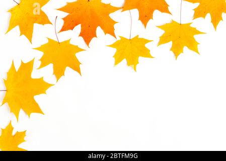 Herbst Zusammensetzung, Ahornblätter, Rahmen, Ansicht von oben flach Stockfoto