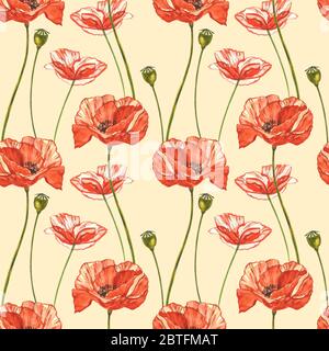 Wasserfarben roter Mohn. Nahtlose Muster. Wilde Blume auf weiß isoliert gesetzt. Botanische Aquarell Illustration, roter Mohn Bouquet, rustikalen Mohn Flo Stockfoto