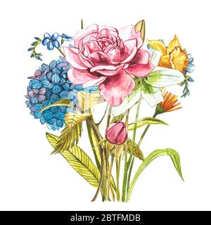 Aquarell Bouquet mit rosa Wildrosen, hidrunga und Narcissus . Wilde Blume auf weiß isoliert gesetzt. Botanische Aquarell Illustration, Rosen Bouquet Stockfoto