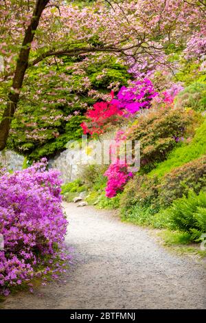 Wunderschöne Natur im Frühling Tag im Pruhonice Park in der Nähe von Prag, Tschechische Republik Stockfoto