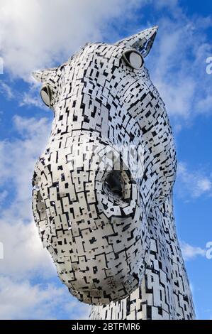 Schottland - 8. Okt '16 die Kelpies von Andy Scott - Kelpies sind mythologische Wassergeister und inspirierten dieses 30 m hohe Denkmal für das Erbe der Pferdekutschenwelt Stockfoto