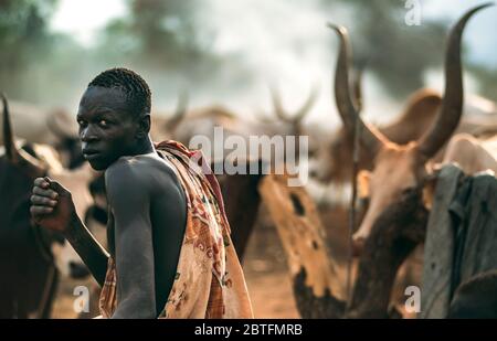 MUNDARI STAMM, SÜDSUDAN - 11. MÄRZ 2020: Mann in traditioneller Kleidung, der über die Schulter hinweg schaut, während er Ankole Watusi Kühe auf Weide in der Nähe hütet Stockfoto