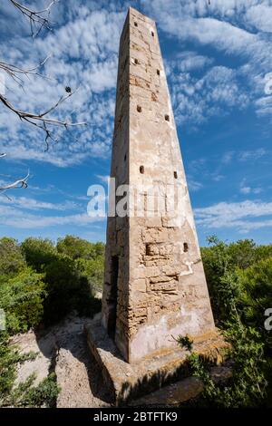 Führende Punkte, Es Comú, Àrea Natural d'Especial Interès, innerhalb des Naturparks von s'Albufera, Muro, bahía de Alcúdia, Mallorca, Balearen, Spanien. Stockfoto