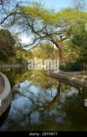 Wasserkörper umgeben von Bäumen und seine Reflexion in Lodhi Garden, Neu-Delhi, Indien. Die Lodi Dynastie war eine afghanische Dynastie, die die Delhi Sulta regierte Stockfoto