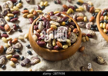 Roh getrocknete Bio-Bohnen-Sortiment bereit zum Kochen Stockfoto