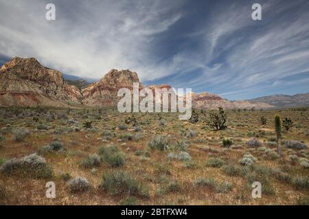 Landschaft im Red Rock Canyon National Conservation Area, Nevada, USA