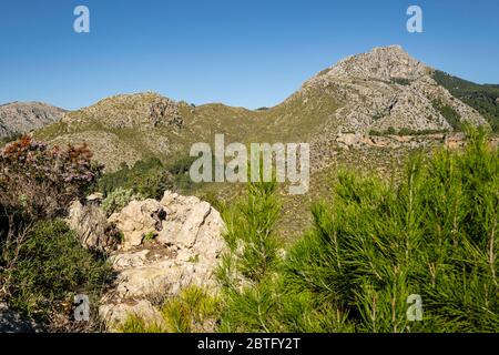 Puig de Galatzó, 1027 Metros de altura, Sierra de Tramuntana, Mallorca, Balearen, Spanien. Stockfoto