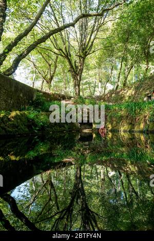 Europa, Portugal, Sintra. Blick auf den Park des Palazzo Pena. Stockfoto