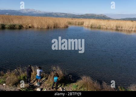 Amarador, albufera de mallorca, Mallorca, Balearen, Spanien. Stockfoto