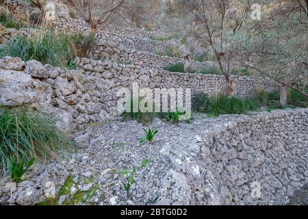 Rotes de Caimari, bien de Interés Cultural, Mallorca, Balearen, Spanien. Stockfoto