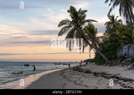 Abendstimmung an einem Sandstrand mit Palmen. Ruhiges Wasser und Himmel kurz vor Sonnenuntergang Stockfoto