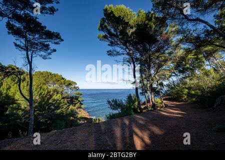 Senderismo en Volta des General, Paraje Natural de la Sierra de la Tramuntana, Banyalbufar, Mallorca, Balearen, Spanien. Stockfoto