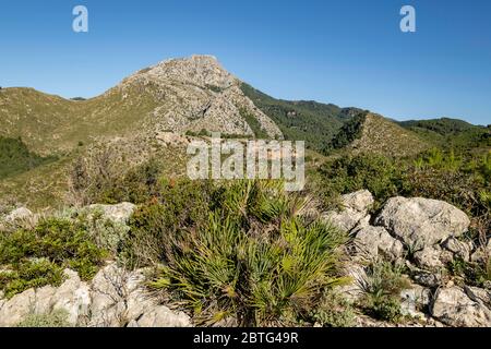 Puig de Galatzó, 1027 Metros de altura, Sierra de Tramuntana, Mallorca, Balearen, Spanien. Stockfoto