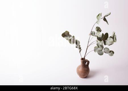 Inspiration für den Lebensstil. Stock Foto mit leerem Platz für Text auf der linken Seite. Vase und trockene Eukalyptus Populus Zweige isoliert auf weißem Hintergrund Stockfoto