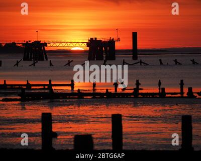 Sheerness, Kent, Großbritannien. Mai 2020. UK Wetter: Heute Abend Sonnenuntergang in Sheerness, Kent. Quelle: James Bell/Alamy Live News Stockfoto