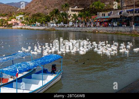 Chapala, Jalisco / Mexiko, 20. Januar 2020. See mit Booten am Ufer verankert, weiße Pelikane auf ruhigem Wasser mit der Promenade und der Stadt in Stockfoto