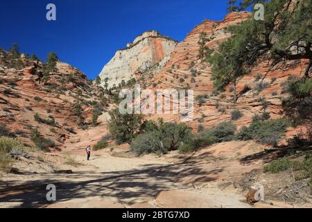 Viele Pools Trail im östlichen Teil des Zion National Park. Stockfoto