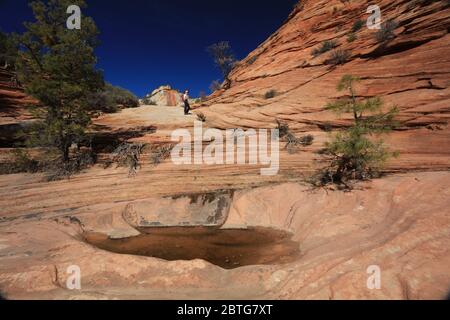 Viele Pools Trail im östlichen Teil des Zion National Park. Stockfoto