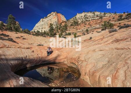 Viele Pools Trail im östlichen Teil des Zion National Park. Stockfoto