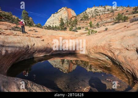 Viele Pools Trail im östlichen Teil des Zion National Park. Stockfoto