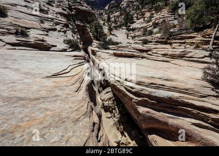 Viele Pools Trail im östlichen Teil des Zion National Park. Stockfoto