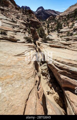 Viele Pools Trail im östlichen Teil des Zion National Park. Stockfoto