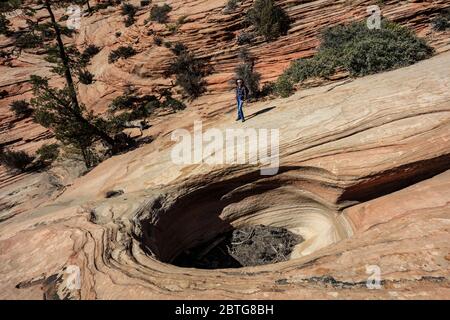 Viele Pools Trail im Zion Nationalpark Stockfoto