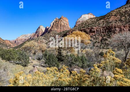 Viele Pools Trail im Zion Nationalpark Stockfoto