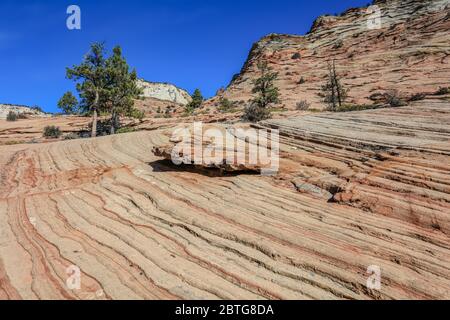 Viele Pools Trail im Zion Nationalpark Stockfoto