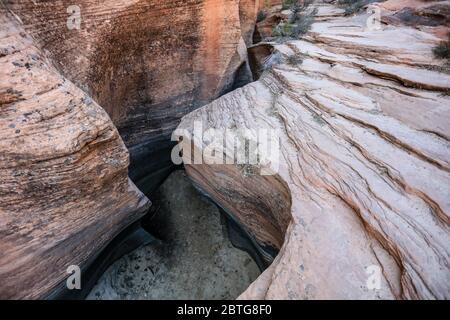 Schmaler Schlitzschlucht nahe dem Beginn vieler Pools Trail in Zion Wilderness Area. Stockfoto