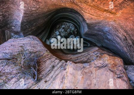 Schmaler Schlitzschlucht nahe dem Beginn vieler Pools Trail in Zion Wilderness Area. Stockfoto