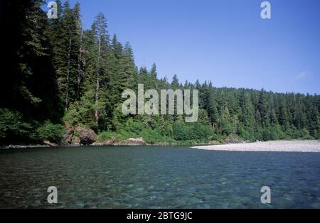 Smith River, Jedediah Smith Redwoods State Park, Redwoods National Park, Kalifornien Stockfoto