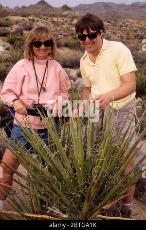 Mojave Yucca nahe verloren Palms Canyon Trail & Cottonwood Wiesen, Joshua Tree Nationalpark, Kalifornien Stockfoto