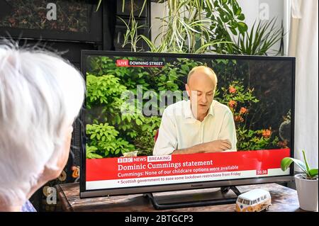 Dominic Cummings gibt eine Pressekonferenz im Fernsehen, nachdem er die Sperrung des Coronavirus durchbitten hat. Per Internet 'Keine unserer Kinderbetreuung-Optionen verfügbar'. Stockfoto