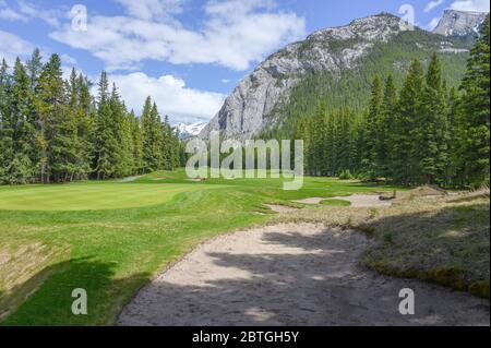 Frühling auf dem Banff Springs Golfplatz im Banff National Park, Kanada Stockfoto