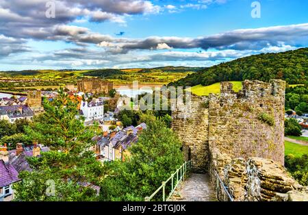 Stadtmauern von Conwy in Wales, Großbritannien Stockfoto
