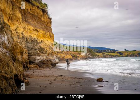 Einstrandiger Surfer spaziert am Back Beach in der Nähe von Paritutu in New Plymouth, Neuseeland, entlang der Wellen Stockfoto
