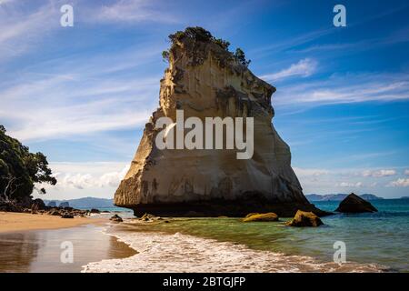 TE Hoho Rock bei Cathedral Cove auf der Halbinsel Coromandel bei Hahei, Neuseeland an einem sonnigen Tag Stockfoto