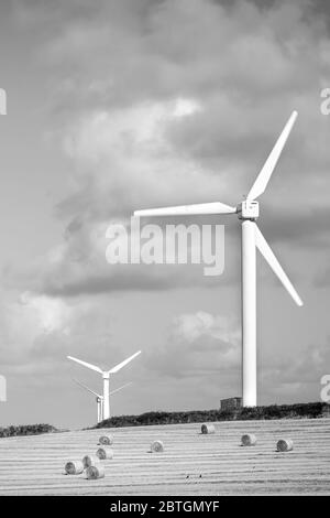 Windparks in Feldern in England Stockfoto