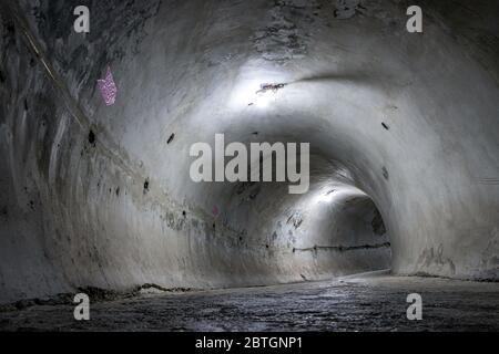 Ein Betontunnel, der sich im Inneren des Drachenkörpers als Weg zum Dach des Turms, Wat Samphran Dragon Temple, Nakhon Pathom, Thailand, rundherum formt Stockfoto