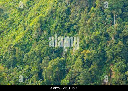Landschaft Natur in Thailand. Luftaufnahme Landschaft von fliegenden Drohne über Berg in Phu Thap Boek Phetchabun Provinz Thailand. Stockfoto