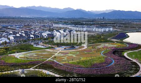 (200526) -- PEKING, 26. Mai 2020 (Xinhua) -- Luftaufnahme vom 23. September 2019 zeigt Blumen an einem Aussichtspunkt der antiken Stadt Shahu im Dawukou-Distrikt Shizuishan, im Nordwesten Chinas Ningxia Hui Autonome Region. China werde seinen ökologischen und ökologischen Schutz in den nächsten fünf Jahren nicht lockern, sagte der Minister für Ökologie und Umwelt Huang Runqiu am Rande der jährlichen Sitzung der nationalen Legislative. Die für den 13. Fünfjahresplan (2016-2020) gesetzten ökologischen und ökologischen Ziele werden reibungslos erreicht, sagte Huang, fügte hinzu Stockfoto