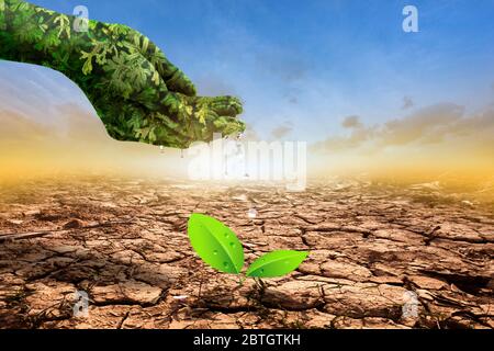 Grüne Hand, die den Baum bewässert. Risse des getrockneten Bodens in der trockenen Jahreszeit auf orangenen Himmel Hintergrund. Globale Erwärmung und Naturkonzept. Stockfoto
